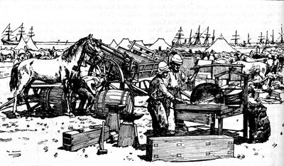 Shoeing Forge of the New South Walesin tykistö Suakimissa, c1885, 1902 tekijältä Unbekannt