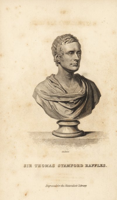 Sir Thomas Stamford Raffles, brittiläinen valtiomies, kirjailija ja luonnontieteilijä tekijältä Unbekannt