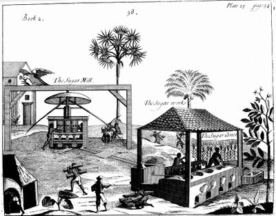 Orjatyövoimaa sokeriviljelmällä Länsi-Intiassa, 1725 tekijältä Unbekannt