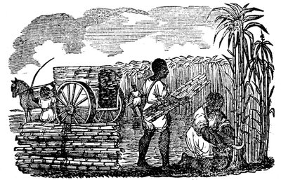 Orjat keräävät sokeriruokoa Louisianassa, 1833 tekijältä Unbekannt