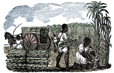 Orjat keräävät sokeriruokoa Louisianassa, 1833 tekijältä Unbekannt