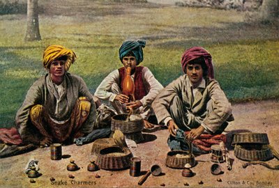 Snake Charmers, c1910. tekijältä Unbekannt