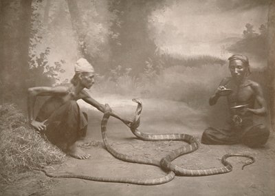Snake Charmers ja Hamadryads Kuy Cobras, 1900. tekijältä Unbekannt