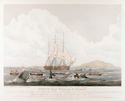 Etelämeren valaiden kalastus, 1825 tekijältä Unbekannt