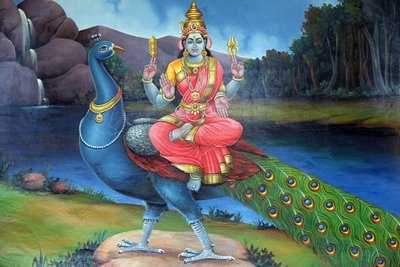 Sri Mariammanin hindutemppeli. Sri Gowmari riikinkukon kanssa, Subramanjanin symboli. Singapore tekijältä Unbekannt