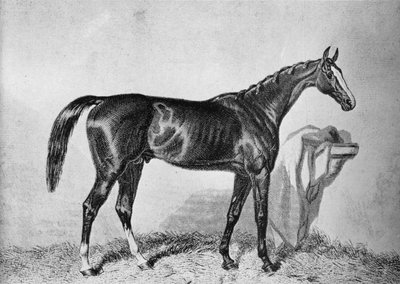 St. Albans, 1800-luku, 1911 tekijältä Unbekannt