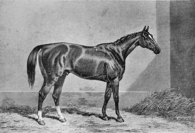 Stockwell, 1849-1871, 1911 tekijältä Unbekannt