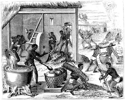 Sokerin tuotanto, 1873 tekijältä Unbekannt
