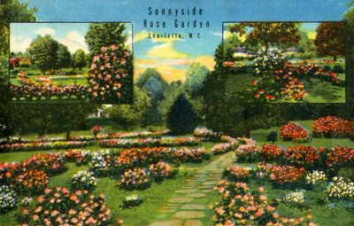 Sunnyside Rose Garden, Charlotte, N.C., 1942. tekijältä Unbekannt