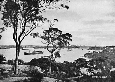 Sydneyn satama, Cremorne Pointista, c1900. tekijältä Unbekannt