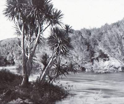 Te Waihou -joki, Okoroire, 1800-luvun loppu - 1900-luvun alku. tekijältä Unbekannt