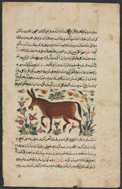 Tekstisivu, persialainen proosa, Khar Ass Verso, 1400-luku. tekijältä Unbekannt