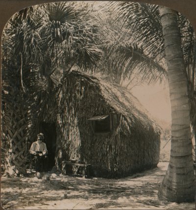 Olkikattoinen mökki Cocoanut Grovessa, Floridassa, Yhdysvalloissa, n. 1900 tekijältä Unbekannt