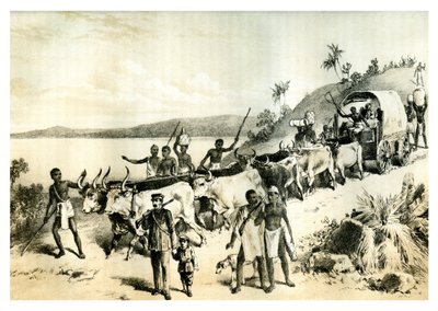 Saapuminen Ngami-järvelle, 1883 tekijältä Unbekannt