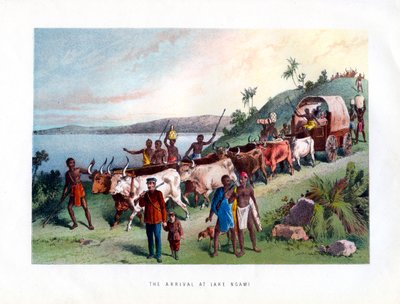 Saapuminen Ngami-järvelle, 1800-luku tekijältä Unbekannt