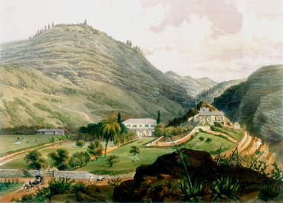 The Briars, St Helena, 1800-luvun alku 1851 tekijältä Unbekannt