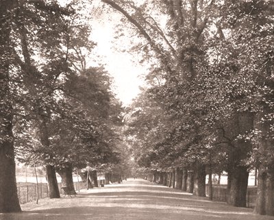 The Broad Walk, Oxford, 1894. tekijältä Unbekannt