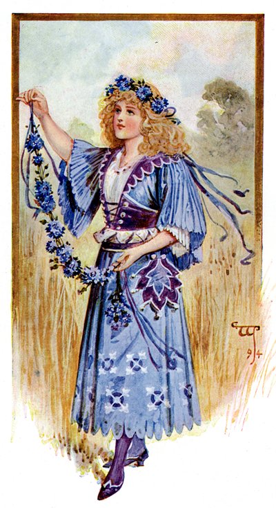 Ruiskukka, 1899 tekijältä Unbekannt