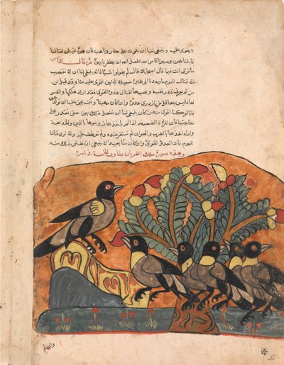 Variskuningas konsultoi ministeriään, Folio Kalila wa Dimnasta, 1700-luku. tekijältä Unbekannt