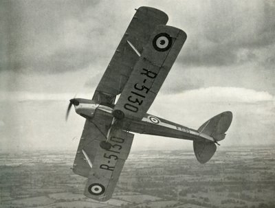 De Havilland Tiger Moth, 1941. tekijältä Unbekannt