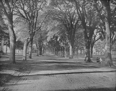 The Elms, New Haven, Conn., 1897. tekijältä Unbekannt