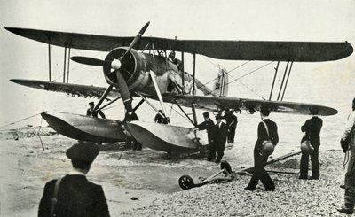 The Fairey Swordfish, 1941. tekijältä Unbekannt