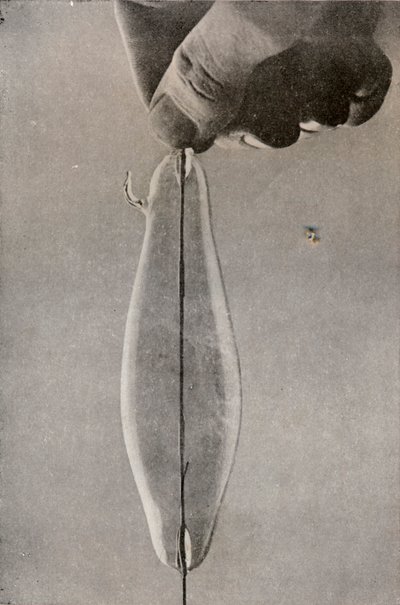 Ensimmäinen hehkulamppu, c1916 tekijältä Unbekannt