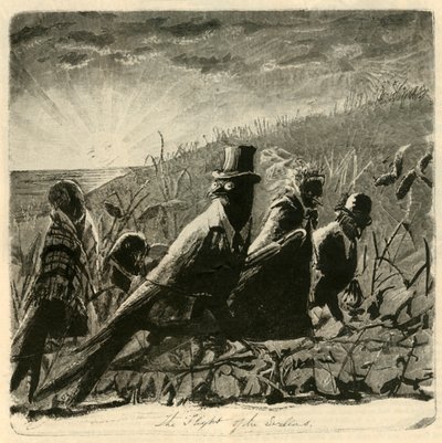 Pääskysten lento, 1882. tekijältä Unbekannt