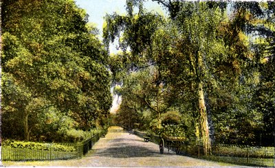 Flower Walk, Kensington Gardens, Lontoo, 1900-luku tekijältä Unbekannt