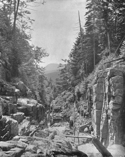 The Flume, Franconia White Mountains, New Hampshire, Yhdysvallat, vuosi 1900. tekijältä Unbekannt