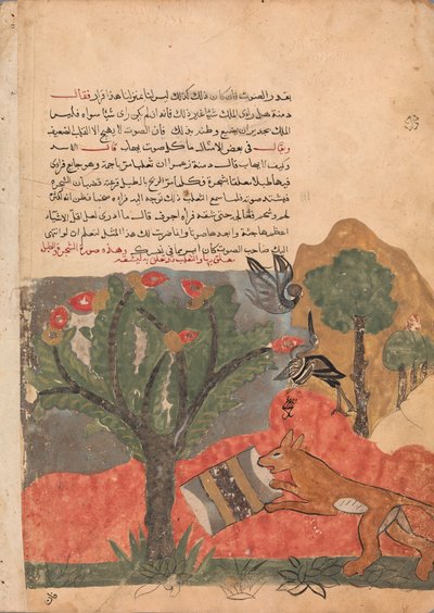 Kettu ja rumpu, Folio Kalila wa Dimnasta, 1700-luku. tekijältä Unbekannt