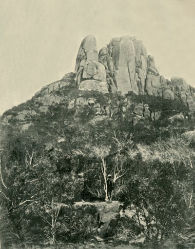 The Hump, Buffalo Mountains, 1901. tekijältä Unbekannt