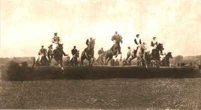 Hunt Cup, Punchestown, 1911. tekijältä Unbekannt
