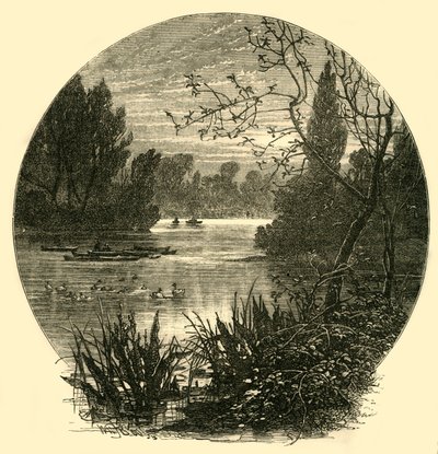 Lake, Battersea Park, 1878. tekijältä Unbekannt