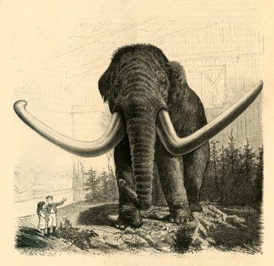 Pietarin mammutti, 1883. tekijältä Unbekannt