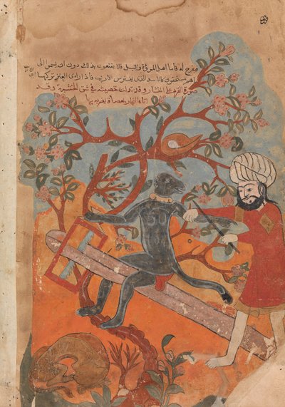 The Monkey Tries Carpentry, Folio d