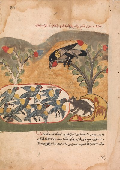 Hiiri puree verkkoa vangiten kyyhkyset, Folio Kalila wa Dimnasta, 1700-luku. tekijältä Unbekannt