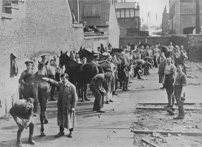 Uusi armeija harjoittelemassa Farriers Schoolissa, 1915 tekijältä Unbekannt