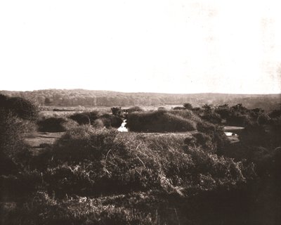 The New Forest, Hampshire, 1894. tekijältä Unbekannt