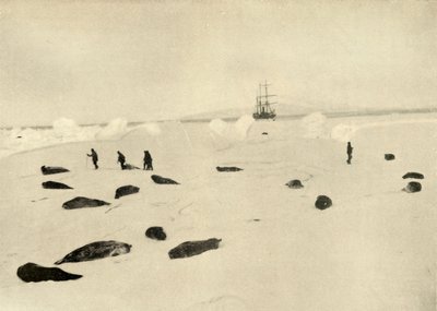 Nimrod Pram Pointissa 4. maaliskuuta 1909 tekijältä Unbekannt