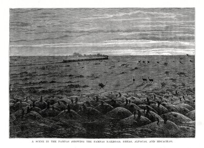 Pampas-rautatie, Etelä-Amerikan alamaat, 1877 tekijältä Unbekannt