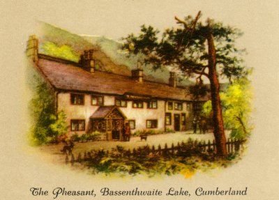 Fasaani, Bassenthwaite Lake, Cumberland, 1936. tekijältä Unbekannt