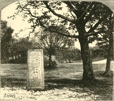 Rufus-kivi uudessa metsässä, 1890. tekijältä Unbekannt