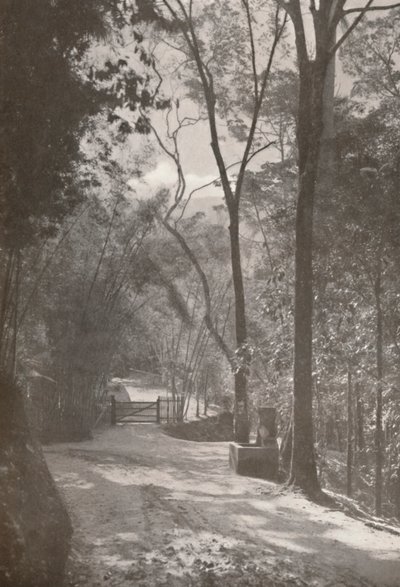 Tijucan henki, 1914 tekijältä Unbekannt