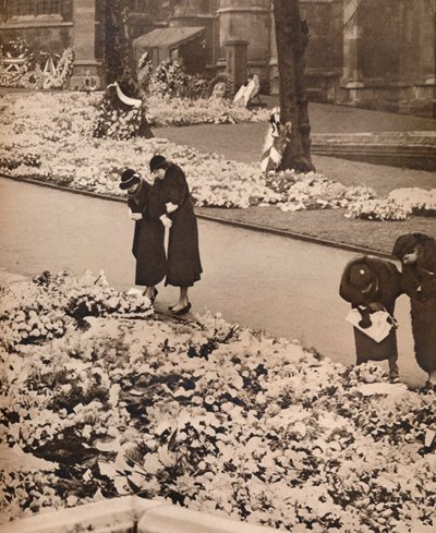Kuningas Yrjö V:n valtion hautajaiset Windsorissa: muistoseppeleet, 1936 tekijältä Unbekannt