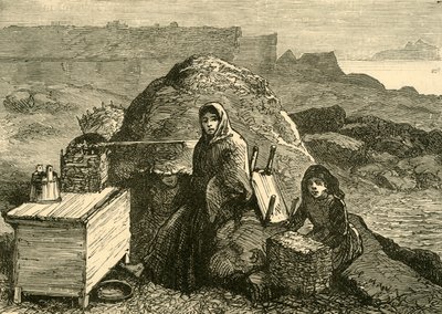 Irlannin osavaltio: Häädetty perhe Errismoren lähellä, 1880. tekijältä Unbekannt