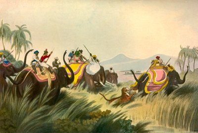 Tiikerinmetsästys, c1808, 1901. tekijältä Unbekannt