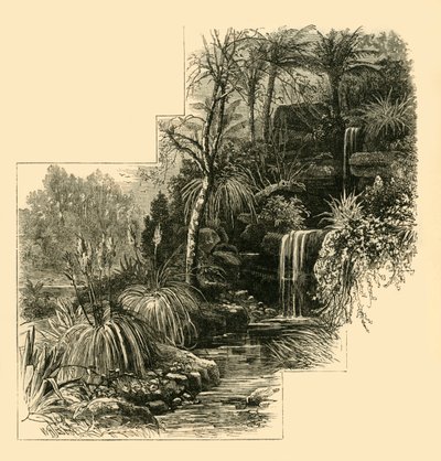 Trooppinen puutarha, Battersea Park, 1878. tekijältä Unbekannt
