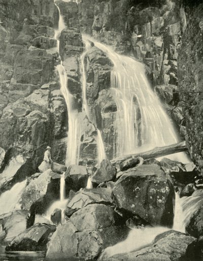 Wellington Falls, Mount Wellington, 1901. tekijältä Unbekannt