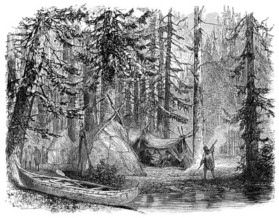 Metsä ennen siirtolaista, 1900 tekijältä Unbekannt